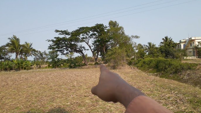 Bakkhali Property Image